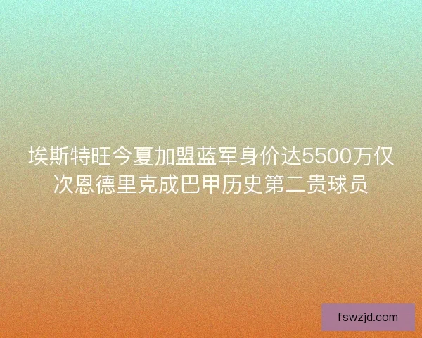 埃斯特旺今夏加盟蓝军身价达5500万仅次恩德里克成巴甲历史第二贵球员